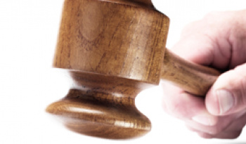 Erfolgreiche erste Auktion 2013 